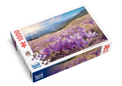 Пазл 1000 елементів «Карпатські крокуси»