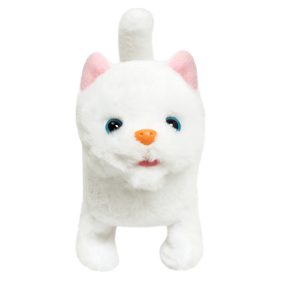 Мій улюбленець «Кошеня»   