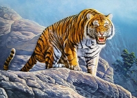 Пазл Castorland, B-018451, Тигр на скелях, 180 деталей B-018451